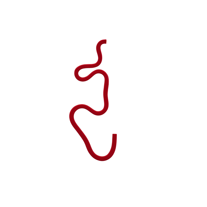 گوشواده رود یاقوتی
